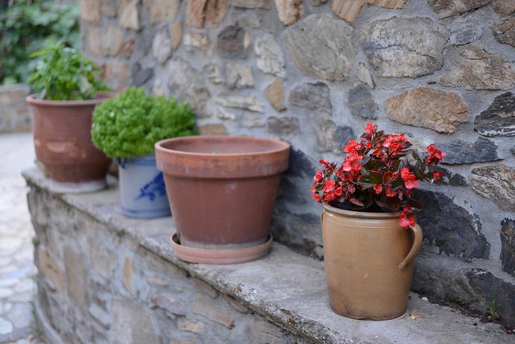 Guesthouse Parthenon Ngoại thất bức ảnh